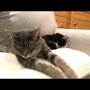 Meet your Posher, Heather